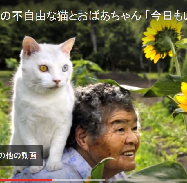 【心温まる写真集】耳の不自由な猫とおばあちゃん ゆるゆる倶楽部 まとめde Goo！