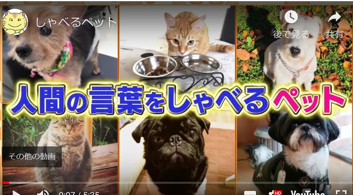 おしゃべりペットたち ゆるゆる倶楽部 まとめde Goo